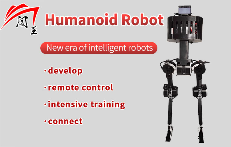 CW-R1 Humanoid Robot
